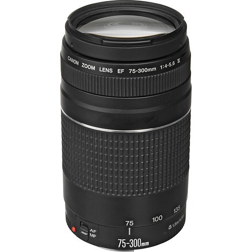 canon 70-300mm lens