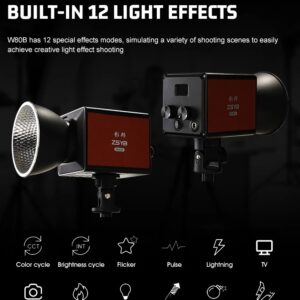 ZSYB W80B 80W Handheld Outdoor Photography Light 2700K-6500K Rechargeable Video Light Photo Studio Live Fill Light Photographic Equipment