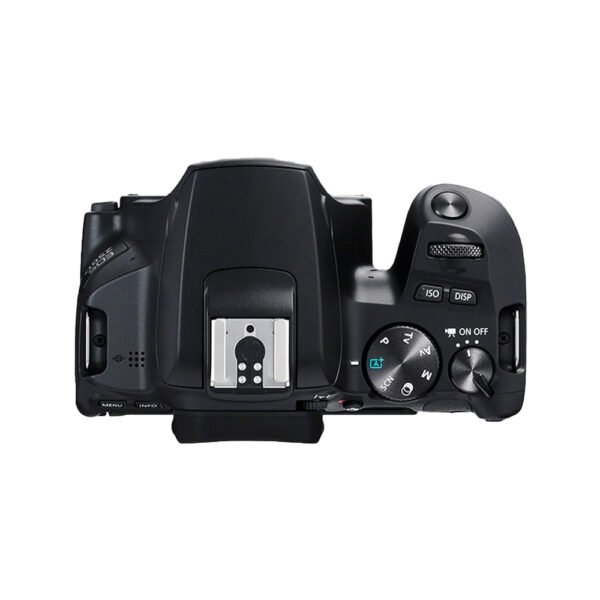 Canon 250D with 18-55 STM Lens - image 3