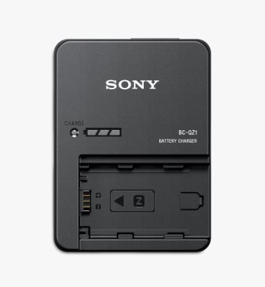 Sony FZ-100 Charger